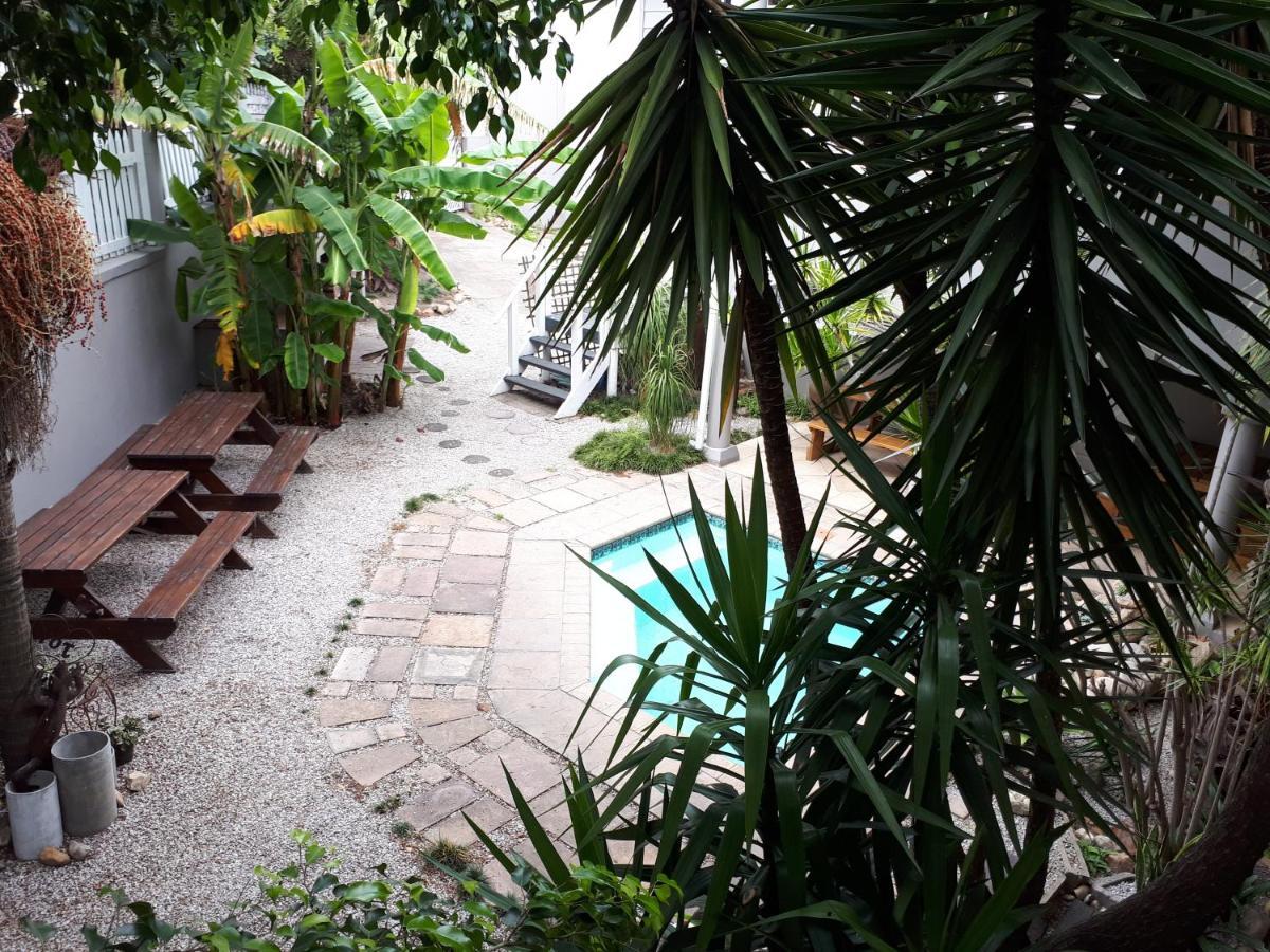 Knysna N2 Lodge Extérieur photo
