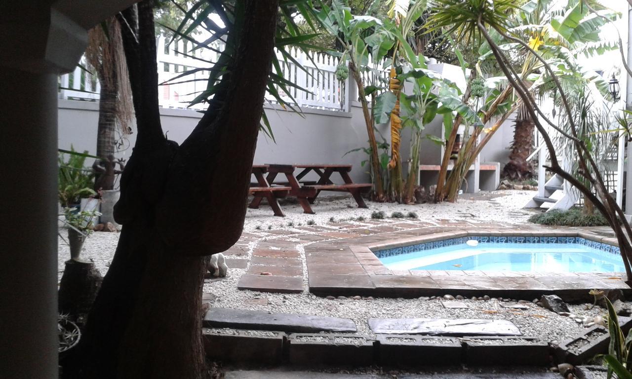 Knysna N2 Lodge Extérieur photo